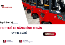 Top 5 Đơn Vị Cho Thuê Xe Nâng Bình Thuận Uy Tín, Giá Rẻ Nhất