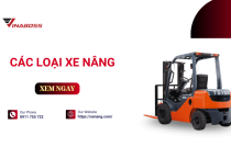 Top 10 loại xe nâng được sử dụng nhiều nhất hiện nay