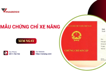  Những thông tin cần biết về mẫu chứng chỉ xe nâng hợp lệ