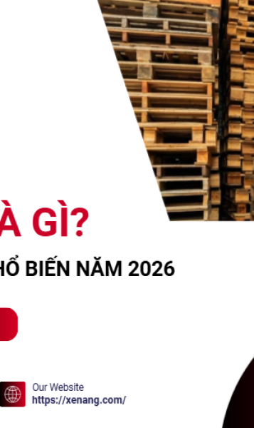 Tổng quan Pallet: Đặc điểm và các dòng phổ biến