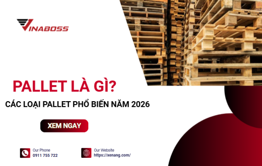 Tổng quan Pallet: Đặc điểm và các dòng phổ biến