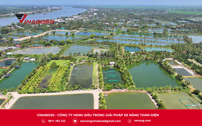An Giang là trung tâm lương thực, thủy sản lớn của miền Tây