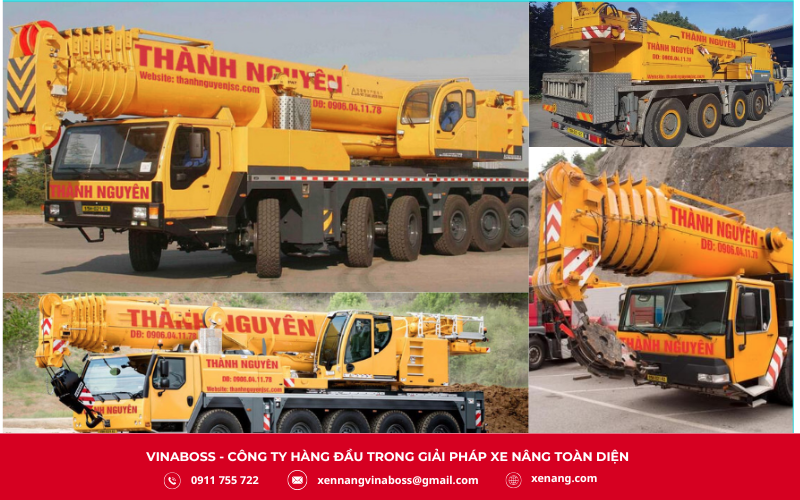 Thành Nguyên JSC - đơn vị cung cấp đa dạng dịch vụ 